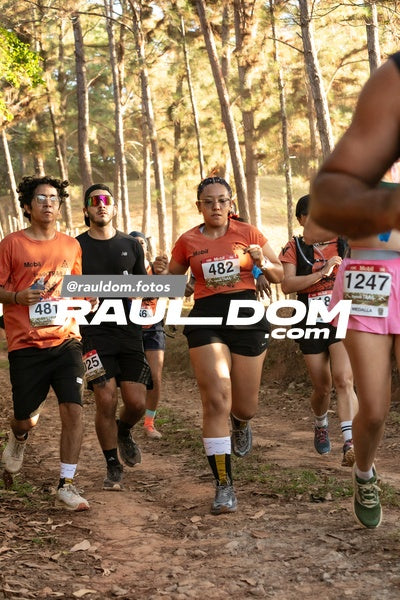 CircuitoTrail10k-rauldom-9412.jpg