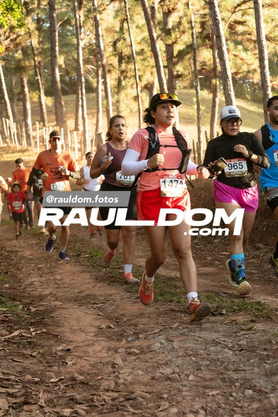 CircuitoTrail10k-rauldom-9469.jpg
