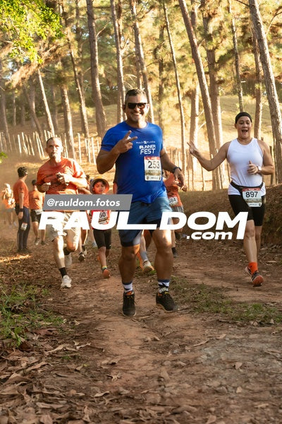 CircuitoTrail10k-rauldom-9474.jpg