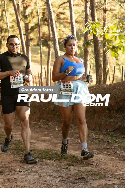 CircuitoTrail10k-rauldom-9696.jpg