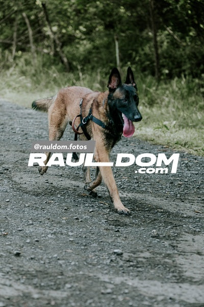 CircuitoTrail21k-rauldom-173.jpg
