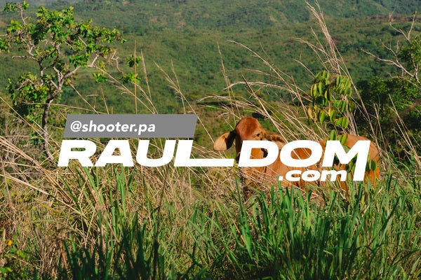 DuplasRace-shooterpa-09511.jpg