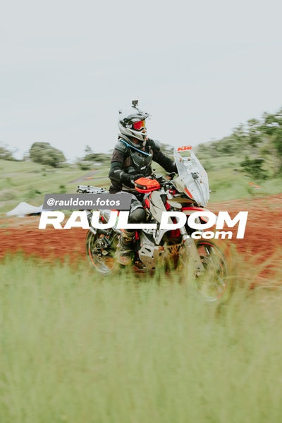 FinalPnccCip-rauldom-8649.jpg