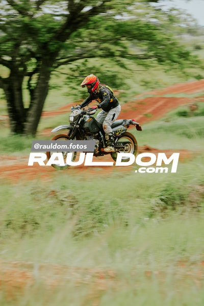 FinalPnccCip-rauldom-8999.jpg