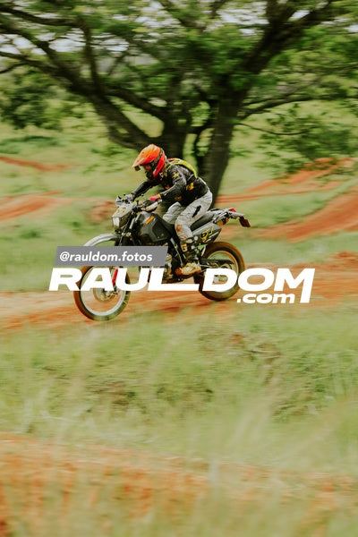 FinalPnccCip-rauldom-9000.jpg