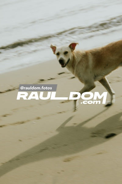 UveritoChallenge-rauldom-2738.jpg