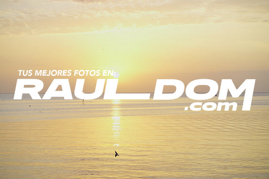 CicuitoCitysummer_paco-65.JPG