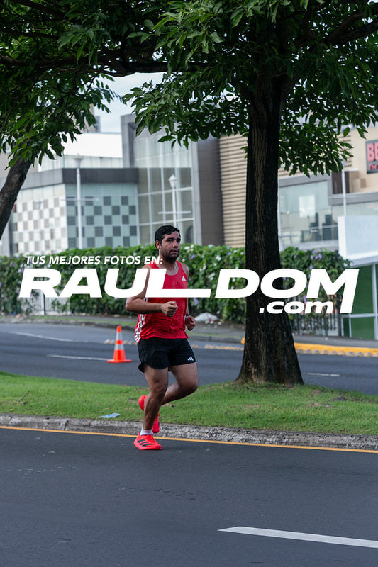 CC15k-RD-175.jpg