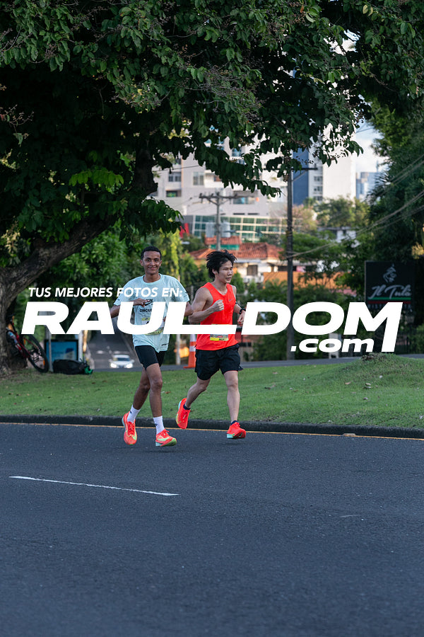 CC15k-RD-051.jpg