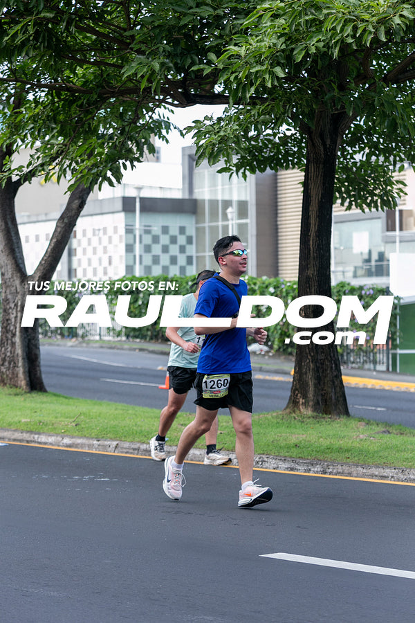 CC15k-RD-209.jpg