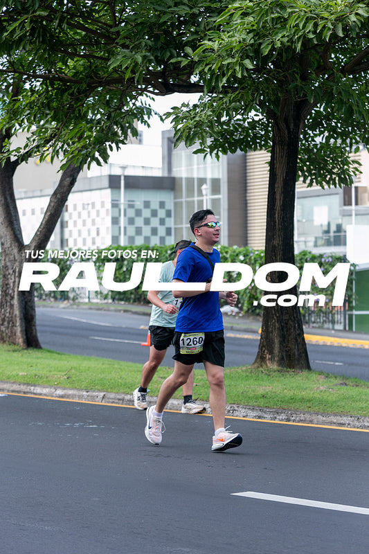 CC15k-RD-209.jpg